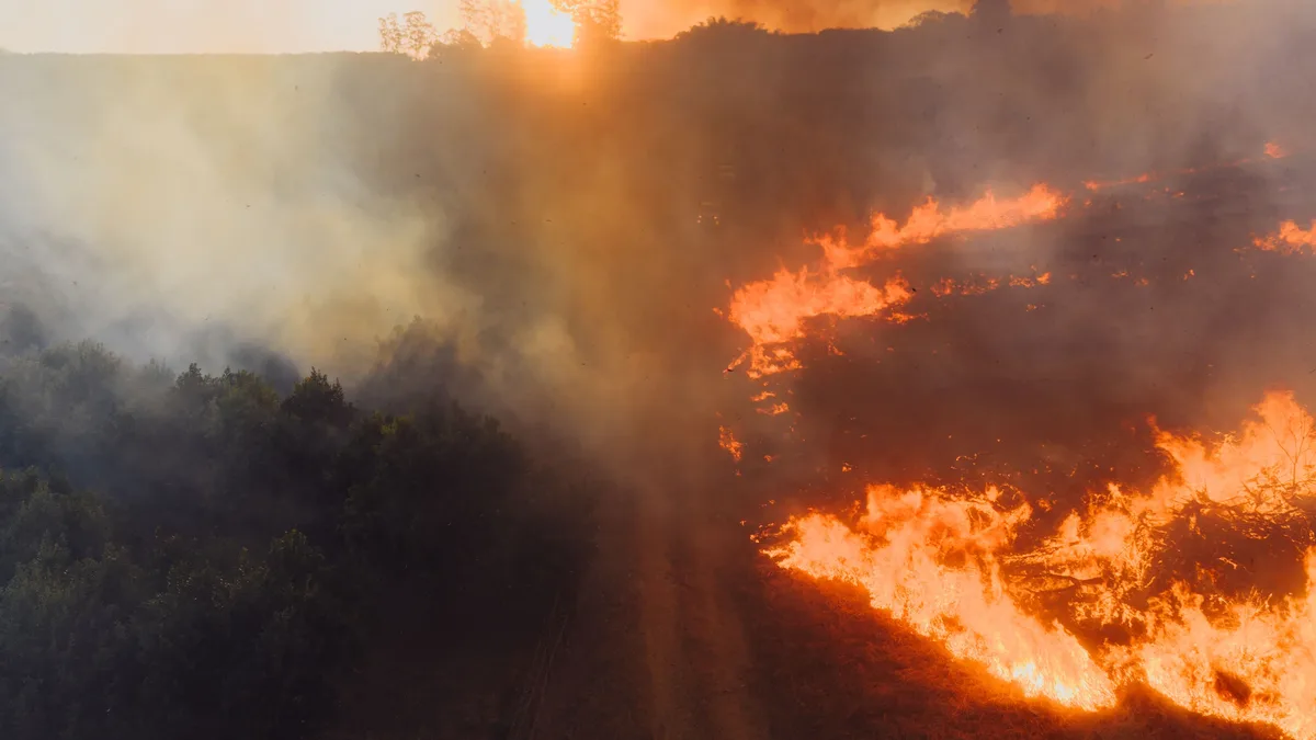 A wildfire burning in a wooded area, with flames and smoke visible.